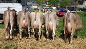 ZF Grimsel A76 Mathis Anny Engelberg